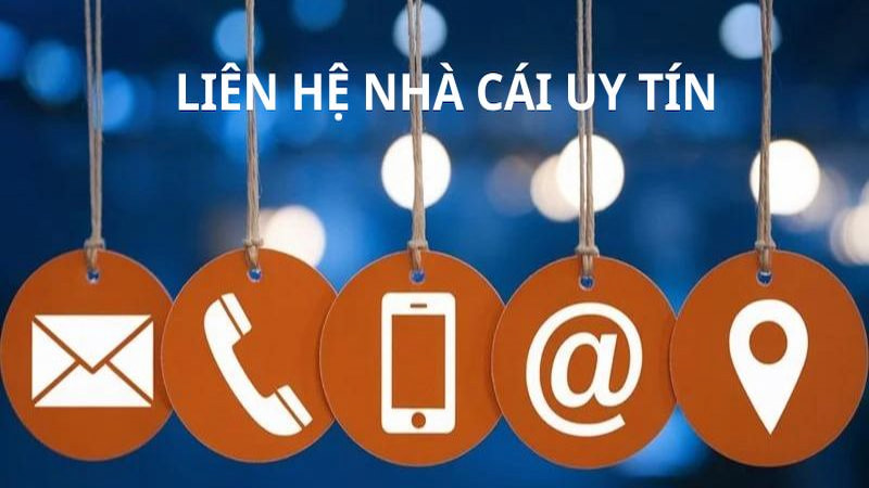 Đánh giá của hội viên về dịch vụ CSKH và liên hệ Saobet Đánh giá của hội viên về dịch vụ CSKH và liên hệ Saobet